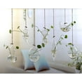thumbnail image 4 of Hanging Glass Flowers Plant Vase Bottle Terrarium Container Home Garden Decors, 4 of 5