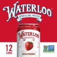 thumbnail image 5 of Waterloo Sparkling Water, Strawberry, 12 fl oz, 12 Pack Cans, 5 of 7