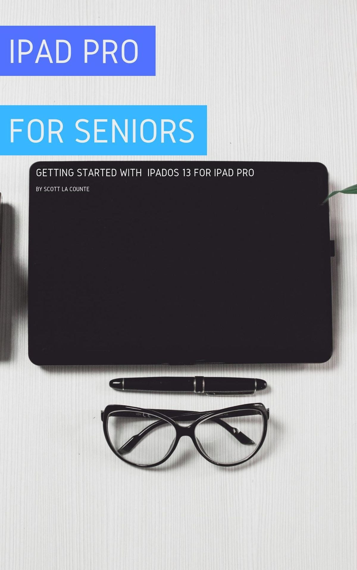 iPad Pro For Seniors eBook