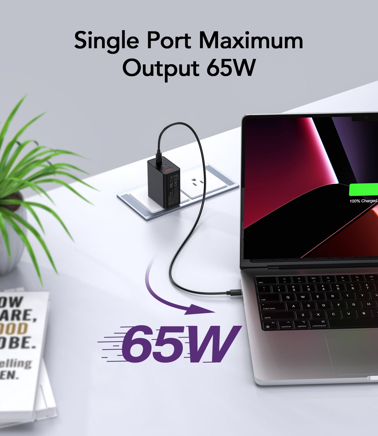 TAOHAI 65W 3-Port USB C Fast Charger Block with 6.6ft Cable - PD GaN Tech for iPhone 16, MacBook, Samsung Galaxy, iPad
