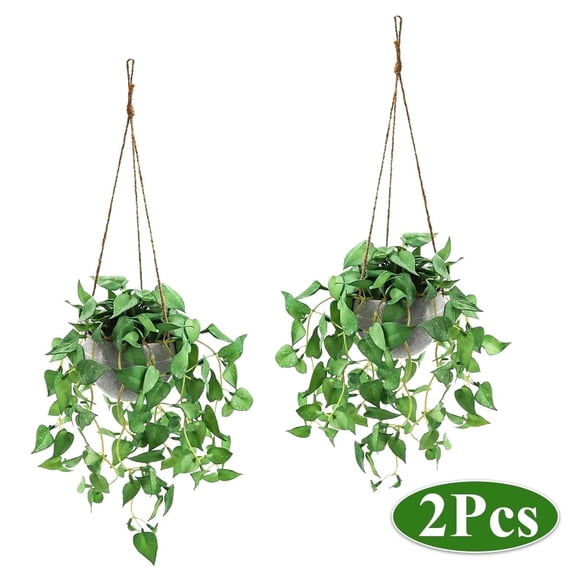 Fake Hanging Plants with Pots 2 Pack Macrame Plant Hanger Indoor & Outdoor Wall Decor, Perfect Home and Room Decoration