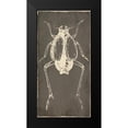 thumbnail image 2 of Villa, Mlli 11x18 Black Modern Framed Museum Art Print Titled - Bug Life Two, 2 of 5