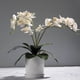 thumbnail image 4 of Hojas de OrquíDeas Phalaenopsis Plantas de Contacto de LáTex de RaíCes Artificiales de Aspecto Real Arreglo de Hojas de Imitación, 12 Piezas, 4 of 5