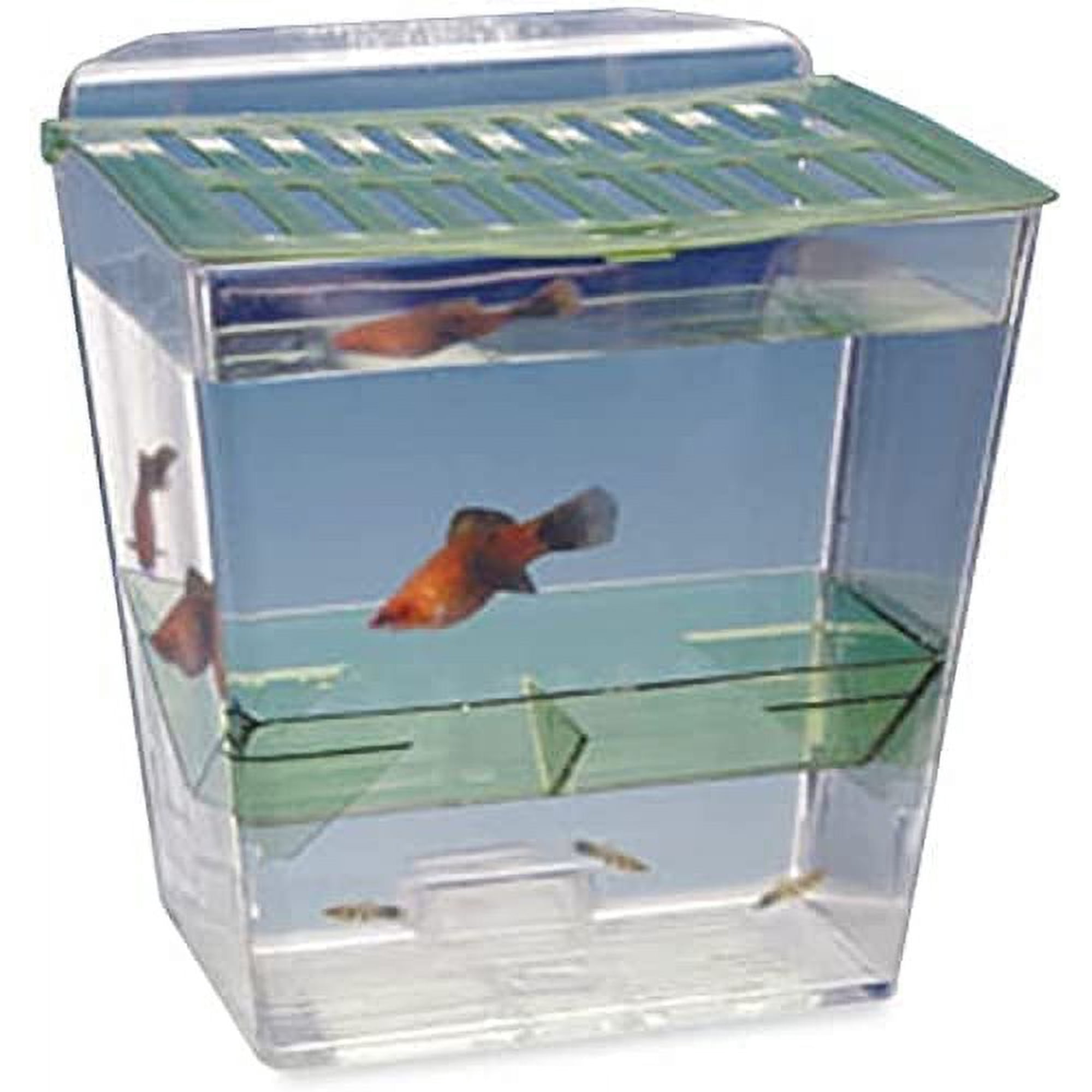 Penn-Plax Breed and Show Fish Tank Enclosure Mounts In Aquarium Fry Trap