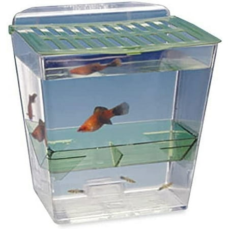 UPC: 0030172244001 | Penn-Plax Breed and Show Fish Tank Enclosure Mounts In Aquarium Fry Trap