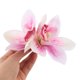 thumbnail image 5 of unbranded 4Ud Accesorios De Tropicales Con Artificiales En Color Púrpura, 5 of 8