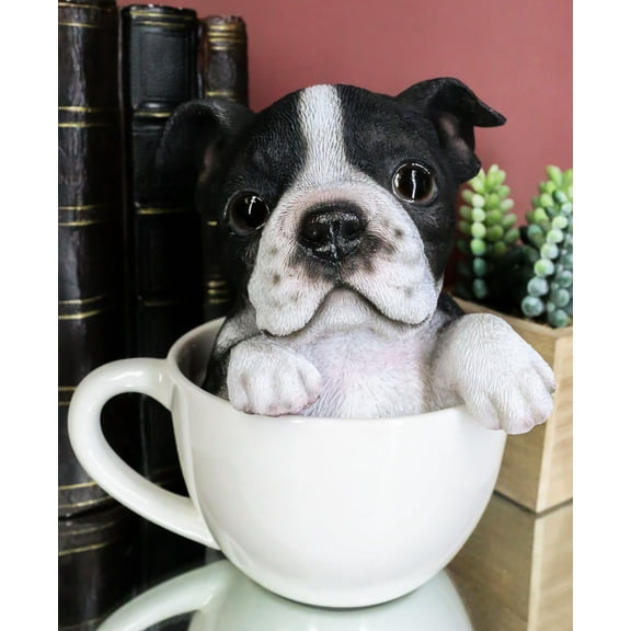 Realistic Boston Terrier Teacup Statue Pet Pal Tuxedo Gentleman Dog Figurine