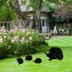 thumbnail image 1 of Decoración de jardín de metal al aire libre, erizo, patio, arte, jardín, estatuas de metal decorativas, decoración de jardín, camino de césped, acera, jardín, estilo retro europeo (4 piezas) (negro, erizo) ShuxiuWang 8390605515583, 1 of 1