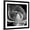 Black Frame, variant on Art.com Midnight Queen Magnolia Stretched Canvas Print Wall Art by Albert Koetsier, 30" x 30"