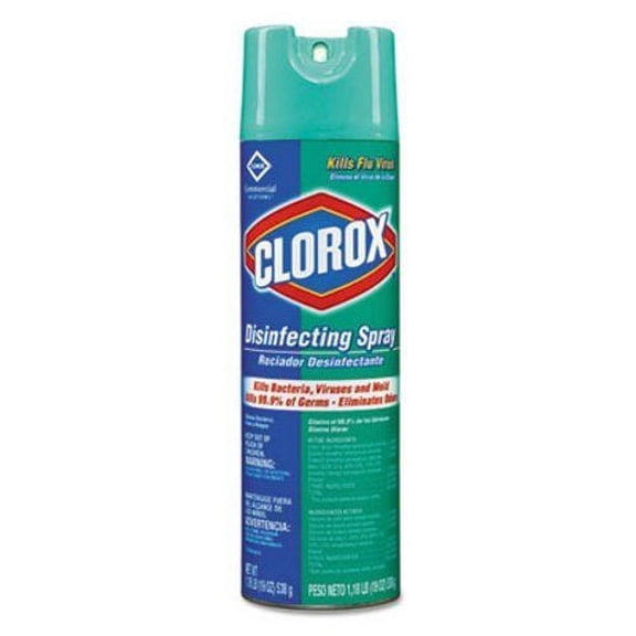Clorox Disinfecting Spray Multi-Surface Cleaner, Kill Bacteria, Viruses and Mold, Eliminate Odors, 19 Oz