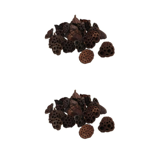 Naiovety 30pcs Natural Dried lotus pod Flowers Fruit for decor crafts DIY Tipo 1 2Conjunto