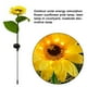 thumbnail image 2 of Bearachild Luces solares Helianthus Annuus Lámpara de cabeza única artificial Iluminación de jardín a prueba de agua LED Luz solar Camino de escalera de Iluminación y accesorios Bearachild HA073128-00, 2 of 6