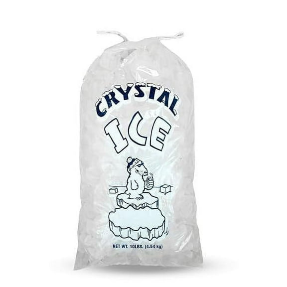 10 LB Ice Bags with Drawstring (500 Count) — Reusable Freezer Bags for Storage — Large Clear Plastic Bags
