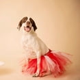 thumbnail image 4 of Jupe Tutu pour Animal de Compagnie Mignonne Colorée Style Princesse Jupe Élastique pour Animal de Compagnie Jupe de Costume pour Chien pour les Vacances, 4 of 6