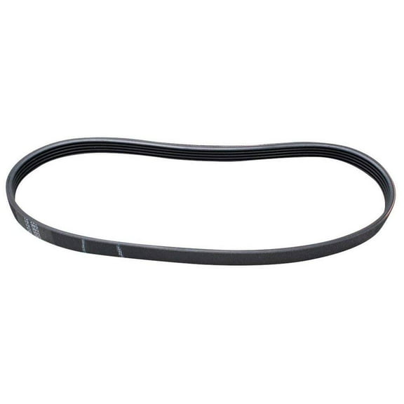 BELT AW AFTERMARKET WPW10006384