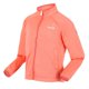 thumbnail image 4 of Regatta - Chaqueta Softshell Highton Lite II para Niños/Niñas (Coral Fusión), 4 of 6