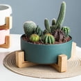 thumbnail image 3 of Labymos Maceta para plantas suculentas con soporte,, 3 of 8