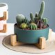 thumbnail image 3 of Labymos Maceta para plantas suculentas con soporte,, 3 of 8