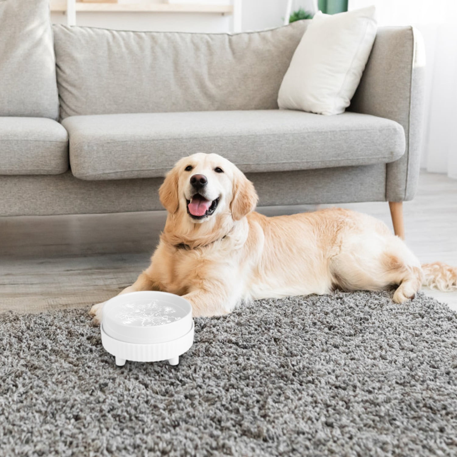 iMounTEK Pet Heated Water Bowl, Ceramic Heated, Thermal Bowl Provides Drinkable Water in Winter for Dogs, Cats, Rabbits, Chickens, Ducks [Single Bowl]