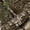 Realtree APX, variant on Realtree Excape Men's Chill Cutter Softshell Hunting Jacket, Sizes S-3XL