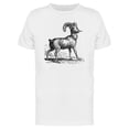 thumbnail image 1 of Rocky Mountain Sheep T-Shirt Men -Image by Shutterstock, Male XX-Large, 1 of 2