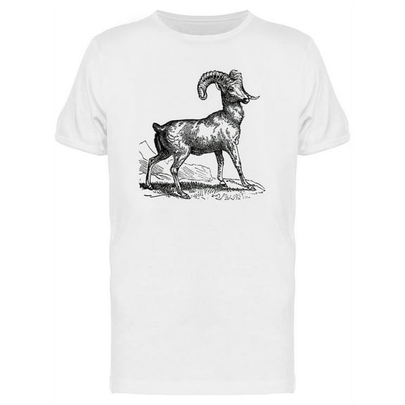 Rocky Mountain Sheep T-Shirt Men -Image by Shutterstock, Male 3X-Large