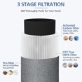 thumbnail image 3 of Filtros de repuesto Blue Pure 411 Air Purifier Cabiclean, 3 of 7
