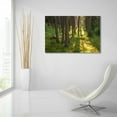 thumbnail image 6 of Epic Art 'Tree Sunset 1' by Joe Reimer Photography, Acrylic Glass Wall Art, 36"x24", 6 of 8