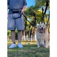 thumbnail image 5 of Correa para perro manos libres con bolsa con cremallera, correa para correr para perro con cinturón ajustable y, correa elástica reflectante manos libres para perros medianos a grandes (verde), 5 of 5