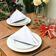 thumbnail image 5 of Ruvanti Cloth Napkins Set of 4, 18x18 Inches Napkins Cloth Washable, Soft, Durable, Absorbent, Cotton Blend. Table Dinner Napkins Cloth for Hotel, Lunch, Restaurant, Wedding Parties - White, 5 of 7
