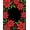 Red, Pattern 4, variant on ODIKA 4'x6' Machine Washable Non-Slip Area Rug, Snowflake Latch Hook Kit Pre Printed Canvas Embroidery Needlework High Traffic Rug with Pad, White, 645882