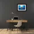 thumbnail image 3 of Gabriel, Barathieu 18x13 Black Ornate Wood Framed with Double Matting Museum Art Print Titled - Face To Face With A Hawksbill Sea Turtle, 3 of 4