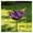 Purple, variant on Metal Flower Garden Stakes Bird Bath Handmade Bee Bath & Pollinator Water Station, Weather-Resistant Outdoor Yard Art Decor Gift for Bird Lovers