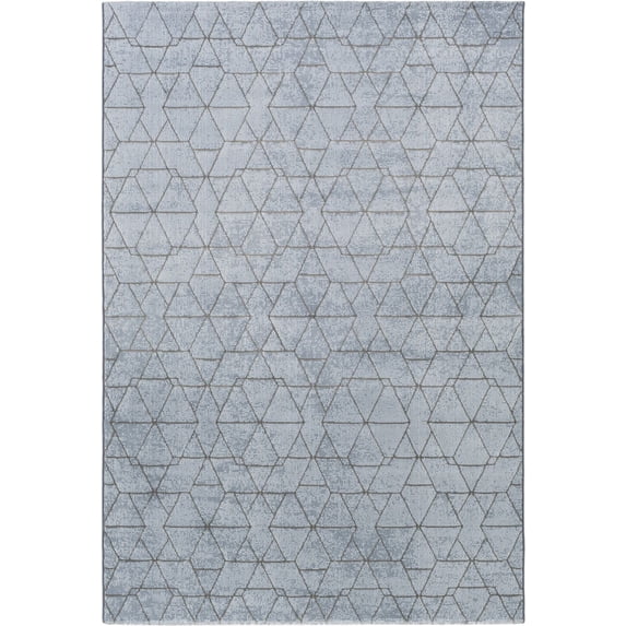 Surya CPO3732-31157 Contempo Area Rug 3'11" x 5'7" Blue Blue