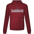 thumbnail image 2 of Men's Levelwear Cardinal Arizona Diamondbacks Relay Journey Pullover Hoodie, 2 of 3