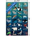 thumbnail image 3 of Wild Kratts - Grid Wall Poster, 22.375" x 34", 3 of 6