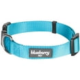 thumbnail image 5 of Blueberry Pet Classic Nylon Dog Collar, Turquoise, Medium, 5 of 5