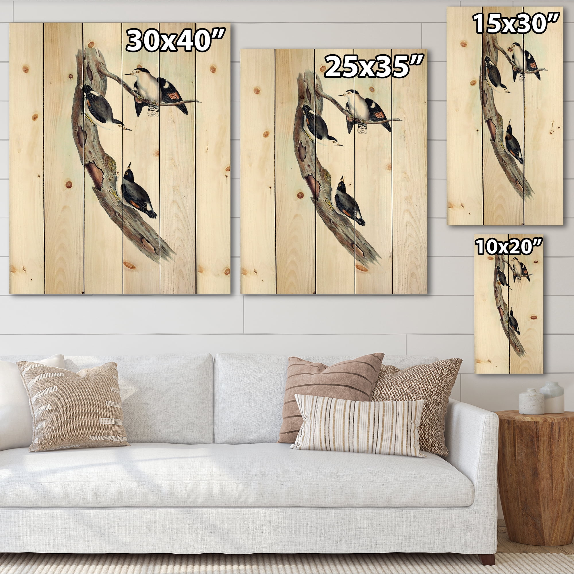 Designart 'Ancient Australian Bird Illustrations I' Traditional Print on Natural Pine Wood