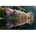 thumbnail image 2 of Ito, Tatsuki 24x17 Gold Ornate Wood Framed with Double Matting Museum Art Print Titled - Sakura, 2 of 4