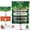 Red and Green, variant on 2/3/4-Pack Christmas Money and Gift Card Holder - 10 Slot Organizer for Cash, Checks, or Gift Cards