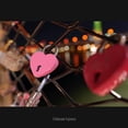 thumbnail image 4 of Lente MACRO ultra gran angular Panasonic Lumix 14-28 mm f/4-5.6 S-R1428, 4 of 7
