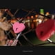 thumbnail image 4 of Lente MACRO ultra gran angular Panasonic Lumix 14-28 mm f/4-5.6 S-R1428, 4 of 7