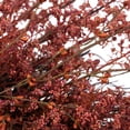 thumbnail image 4 of Northlight Pip Berry Clusters Artificial Fall Harvest Twig Wreath - 24", 4 of 6