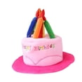 thumbnail image 3 of de Sombrero de Pastel de Cumpleaños de Peluche, Encantador Accesorio de Disfraz para Las Fiestas., 3 of 9