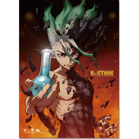 Dr. Stone- Senku Ishigami Wall Scroll