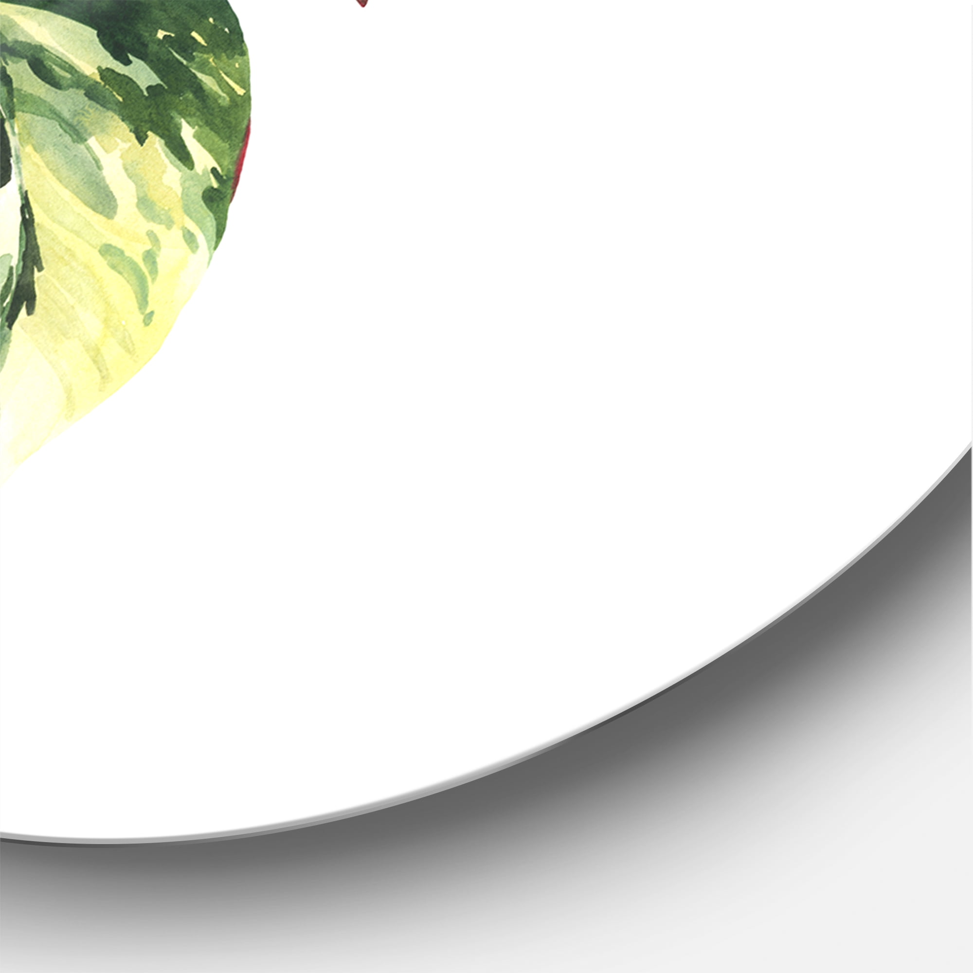 Designart 'Tropical Green Leaves On White In Summer Times I' Tropical Circle Metal Wall Art 11x11 - Disc of 11