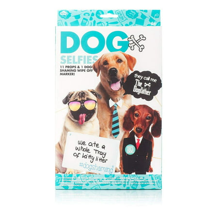 NP21363 Selfie Photo Props, Dog, Photo prop kit contains 11 cardboard pieces, 6 wooden sticks, 1 dry erase marker, shaming board, and a strip of double-sided sticky dots By (Best Dog Shaming Photos)