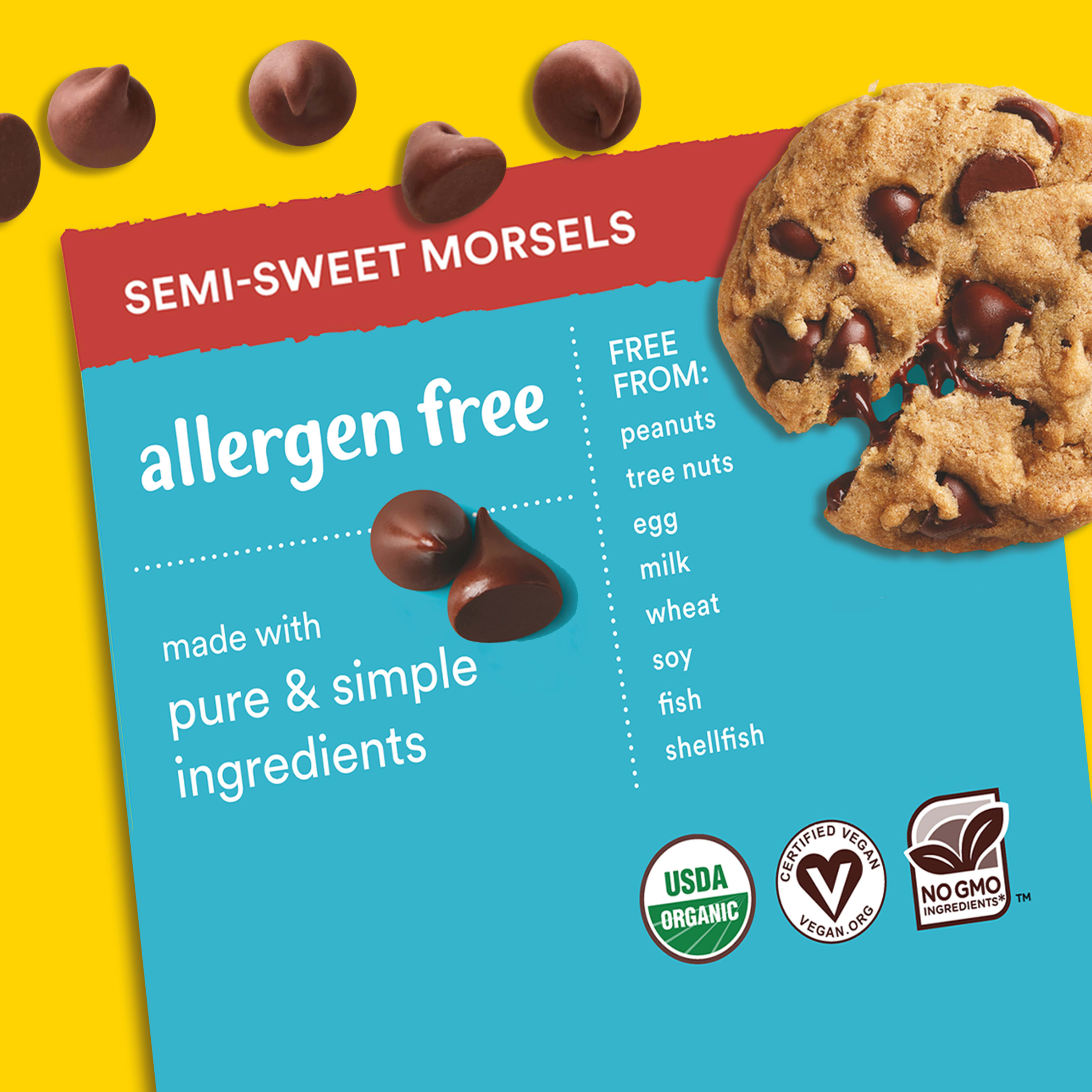Nestle Toll House Allergen-Free Semi Sweet Chocolate Chips, Regular Size Morsels, 10 oz Bag - image 3 of 13
