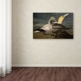 thumbnail image 4 of Trademark Fine Art "Gannets" Canvas Art by John James Audubon, 4 of 4