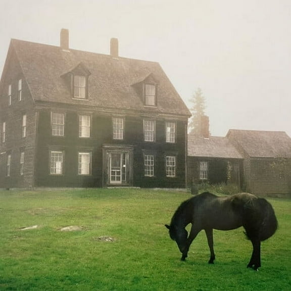 Lutalo - The Academy - Music & Performance - CD